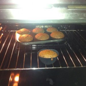 minisacherforno
